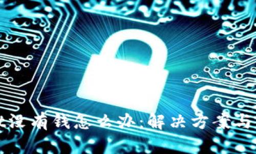 tpWallet没有钱怎么办：解决方案与使用技巧