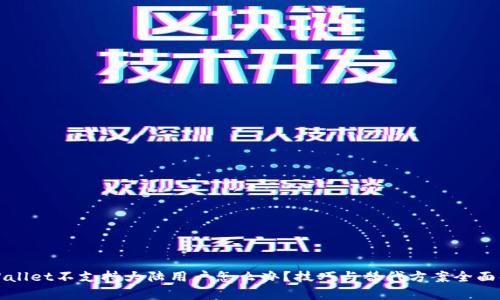 tpWallet不支持大陆用户怎么办？技巧与替代方案全面解析