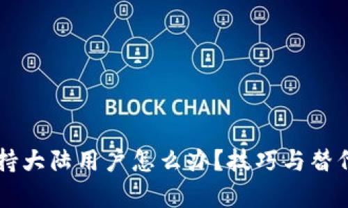 tpWallet不支持大陆用户怎么办？技巧与替代方案全面解析