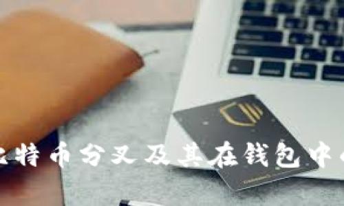 深入了解比特币分叉及其在钱包中的存储策略