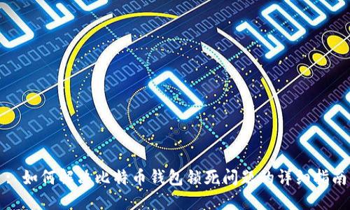 : 如何解决比特币钱包锁死问题的详细指南