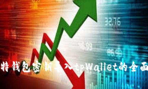 : 比特钱包密钥导入tpWallet的全面指南