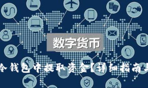 如何从TP冷钱包中提取资金？详细指南与步骤分析
