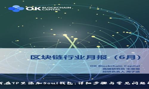 如何在TP里添加Soul钱包：详细步骤与常见问题解答
