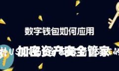极客钱包支持USDT吗？全面