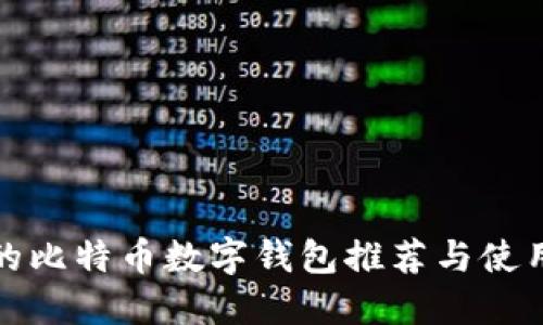 好用的比特币数字钱包推荐与使用指南