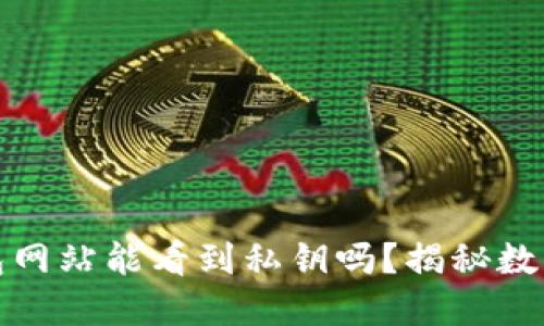 比特币钱包网站能看到私钥吗？揭秘数字资产安全