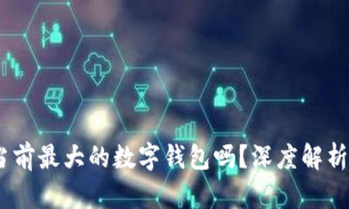 tpWallet：当前最大的数字钱包吗？深度解析与用户体验