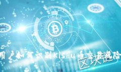 tpWallet用户如何识别Kishu币