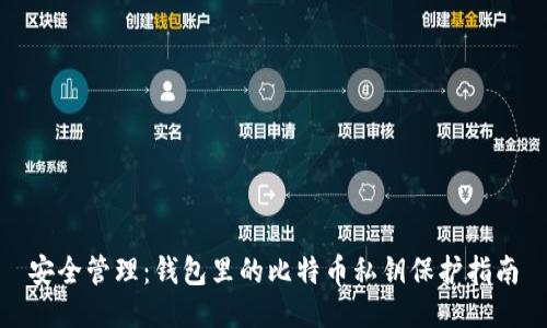 安全管理：钱包里的比特币私钥保护指南