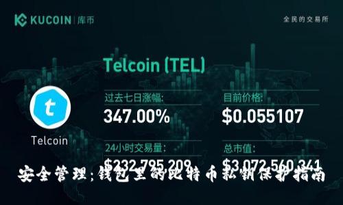 安全管理：钱包里的比特币私钥保护指南