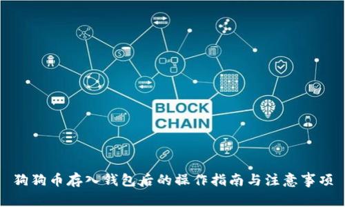 狗狗币存入钱包后的操作指南与注意事项