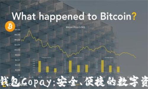 
比特币手机钱包Copay：安全、便捷的数字资产管理选择
