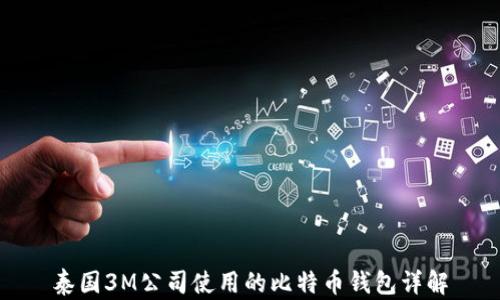 
泰国3M公司使用的比特币钱包详解