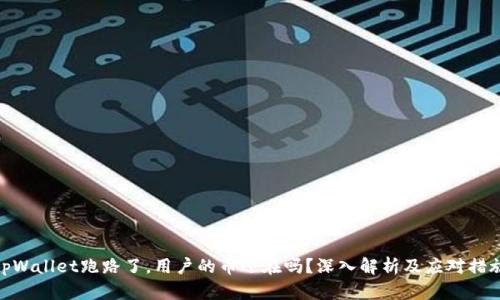 tpWallet跑路了，用户的币还在吗？深入解析及应对措施