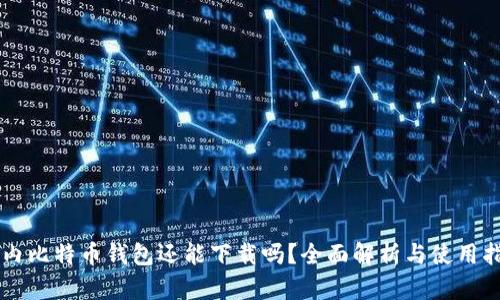 国内比特币钱包还能下载吗？全面解析与使用指南