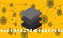国内比特币钱包还能下载