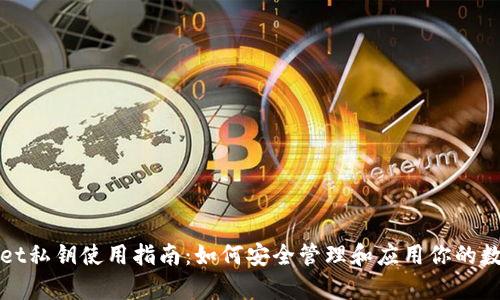 tpWallet私钥使用指南：如何安全管理和应用你的数字资产