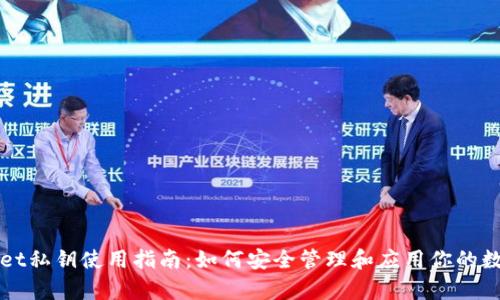 tpWallet私钥使用指南：如何安全管理和应用你的数字资产
