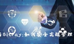 比特币钱包与BitPay：如何安全高效管理你的数字