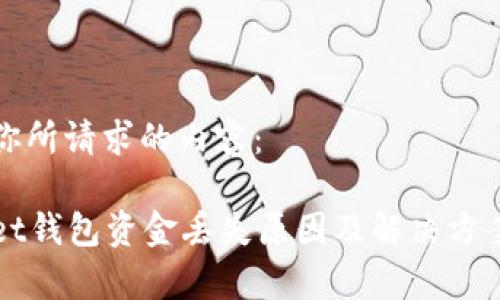 以下是你所请求的内容：

tpWallet钱包资金丢失原因及解决方案全解析