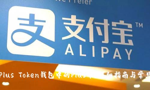 如何找回Plus Token钱包中的Plus币？详细指南与常见问题解答