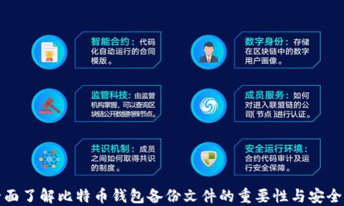
全面了解比特币钱包备份文件的重要性与安全性