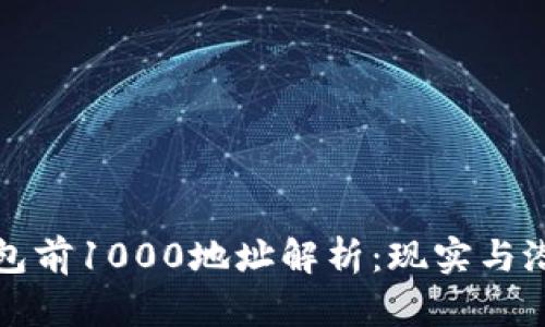 比特币钱包前1000地址解析：现实与潜力的交织