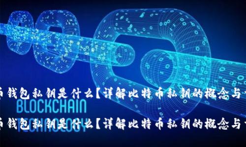 比特币钱包私钥是什么？详解比特币私钥的概念与重要性

比特币钱包私钥是什么？详解比特币私钥的概念与重要性