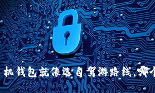 “比特币手机钱包就像选自驾游路线，哪个不迷路？”