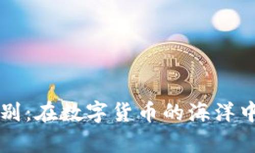 转身与比特币告别：在数字货币的海洋中寻找新财富之舟