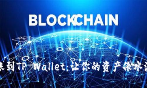 轻松转账到TP Wallet：让你的资产像水流般顺畅