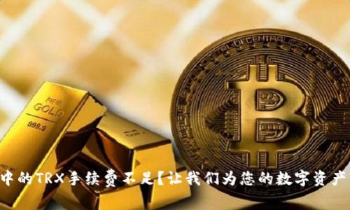 TP钱包中的TRX手续费不足？让我们为您的数字资产“加油”！